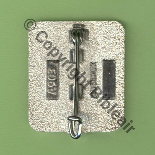 A0903 ESCADRON ELEC AEROPORTE 1.54 DUNKERQUE  DUSEAUX Griffes et butees Dos scintillant 22x26mm Src.Y.GENTY 15Eur(x8) 